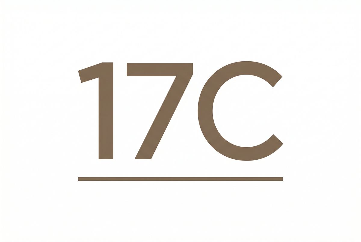 17C品牌Logo - abitzah.cn